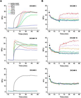 Design, synthesis and structure-activity relationship (SAR) studies of an unusual class of non-cationic fatty amine-tripeptide conjugates as novel synthetic antimicrobial agents